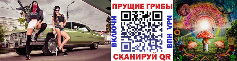 Псилоцибиновые грибы прущие грибы  Купить закладки  Ефремов 
